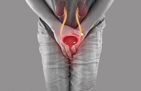 Ekran Resmi 2024-12-23 09.19.51